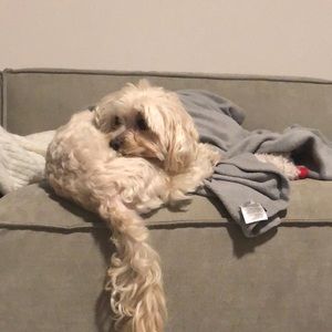 Meet your Posher, Daniel